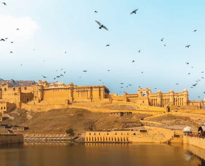 Royal Jaipur